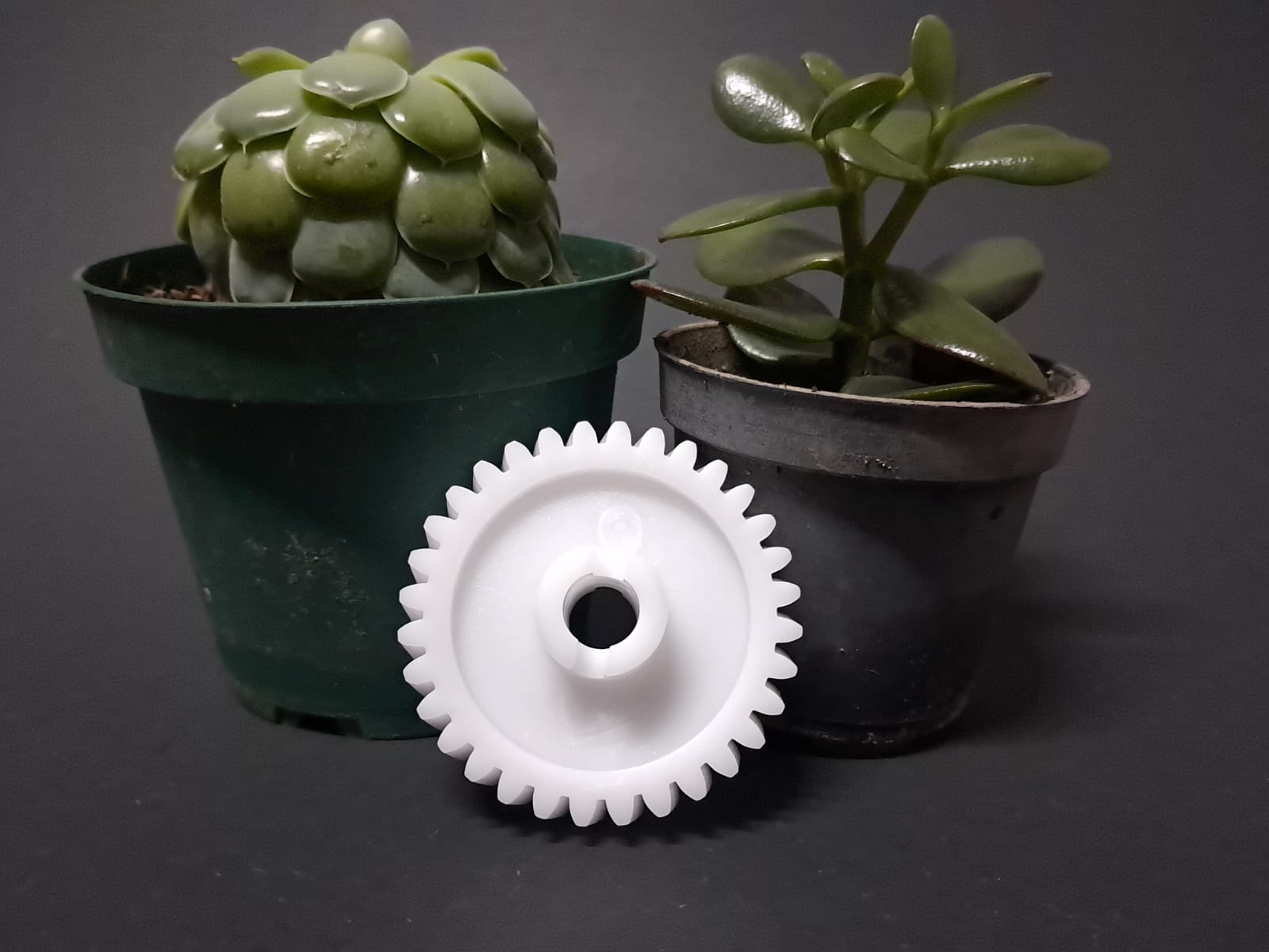 Piñón blanco dentado para portón eléctrico