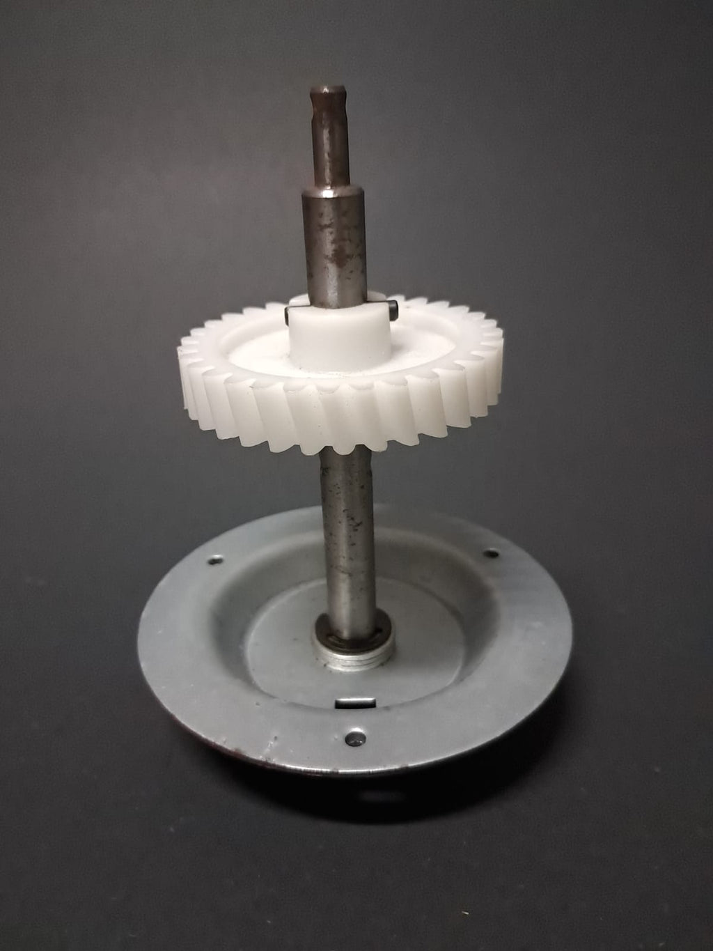 Piñón blanco dentado para portón eléctrico