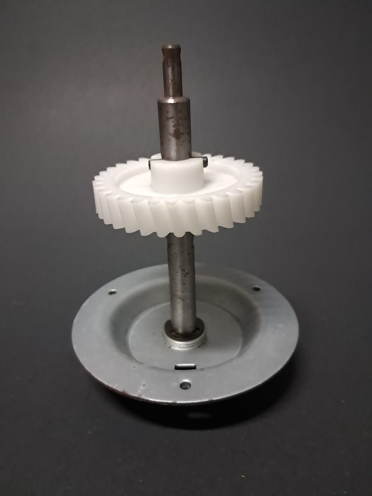 Piñón blanco dentado para portón eléctrico